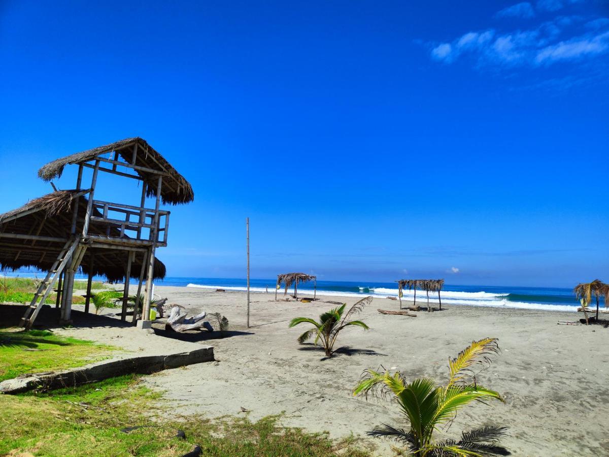 Hotel Punta Azul Pedernales Eksteriør bilde